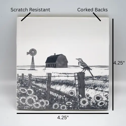Kickass Coasters (7).webp