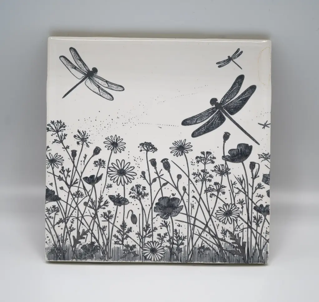 Dragonfly Coasters