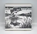 Fish Coasters