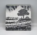 Lone Cowboy Coasters