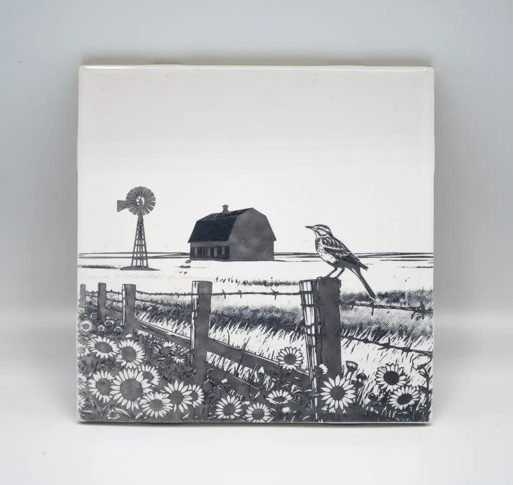 Meadowlark Coasters