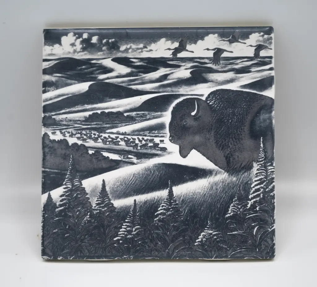 Sand Hill Bison Coasters