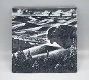 Sand Hill Bison Coasters