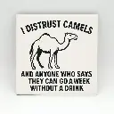 I Distrust Camels Coaster