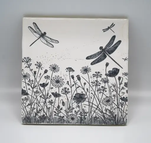 Dragonfly Coasters