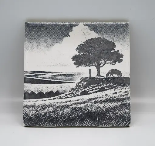 Lone Cowboy Coasters