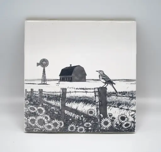 Meadowlark Coasters