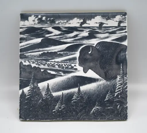 Sand Hill Bison Coasters