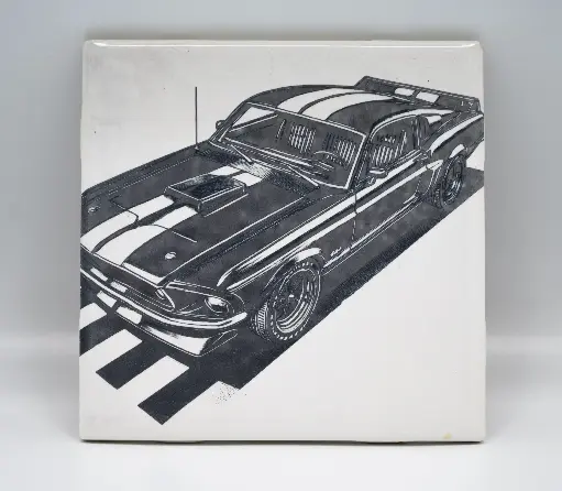 1969 Ford Mustang Coasters